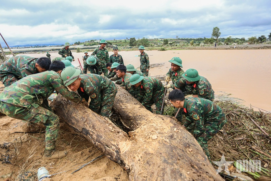 Chung tay hồi sinh D’Ran sau lũ: 